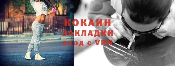 мескалин Богородицк