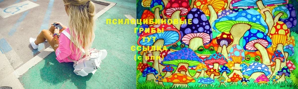 мескалин Богородицк