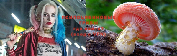 мескалин Богородицк